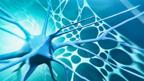 Advances in Neuron Sciences