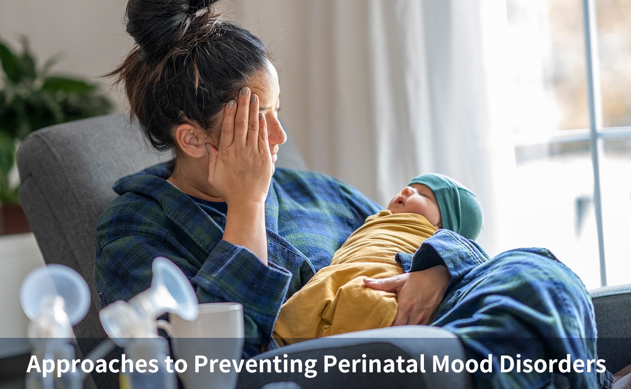 Approaches to Preventing Perinatal Mood Disorders