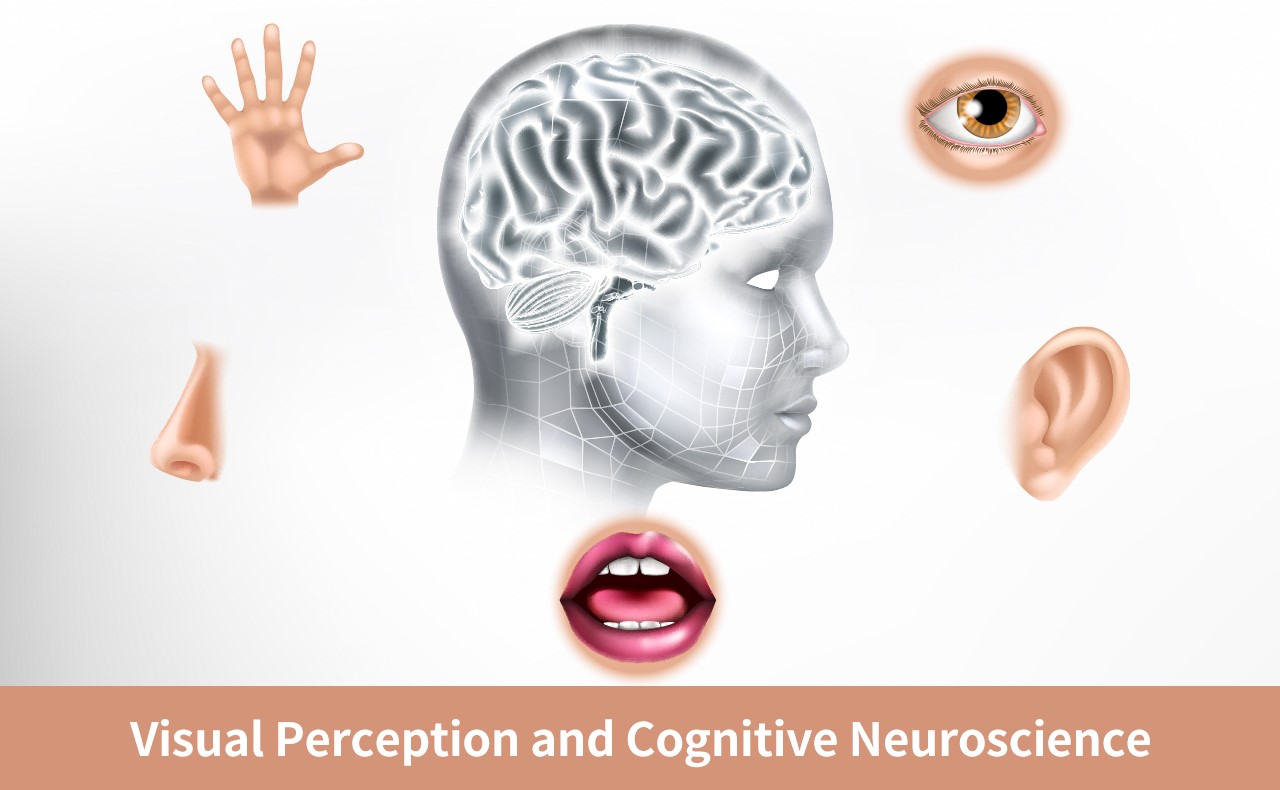 Visual Perception and Cognitive Neuroscience