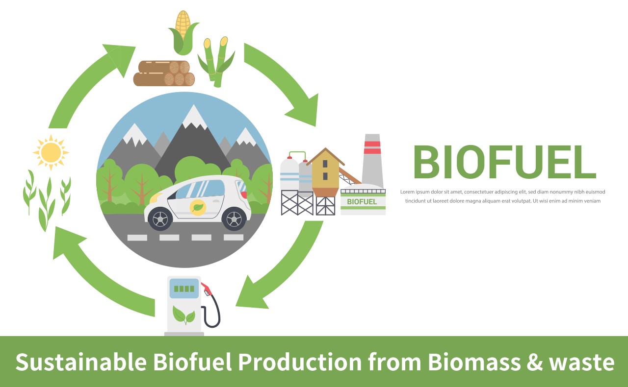 Sustainable Biofuel Production from Biomass & Waste